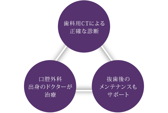 歯科用CTによる正確な診断 / 口腔外科出身のドクターが治療 / 抜歯後のメンテナンスもサポート